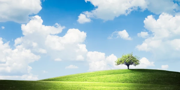 Tueller Counseling Services